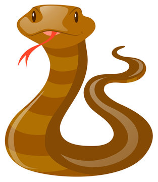 Snake with brown skin