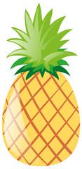 Single pineapple on white background