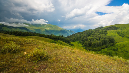 Альпийские луга