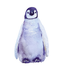 watercolor illustration Penguin