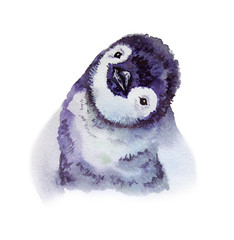 watercolor illustration Penguin - 122443823