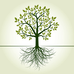 Green Tree and Roots. Vector Illustration.