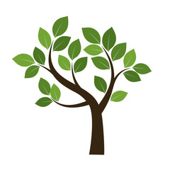 Obraz premium Shape of Tree with Green Leafs. Vector Illustration.