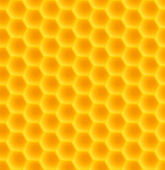 honeycomb pattern back