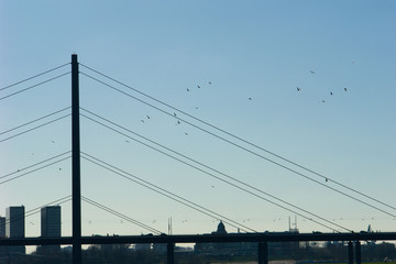 Schr&auml;gseilbr&uuml;cke mit Vogelschwarm
