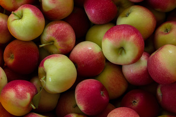 Apples