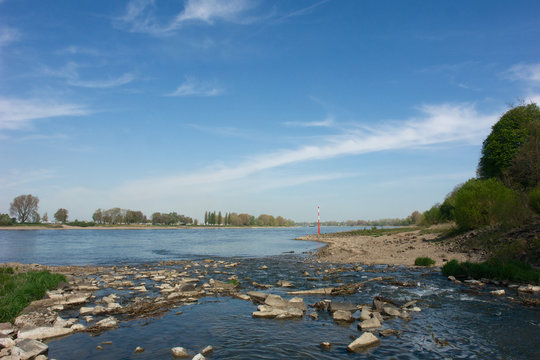 Rheinzufluss