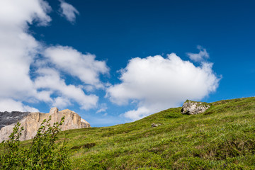 Obraz premium Prato di fiori