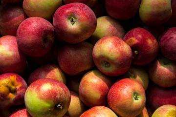 Apples