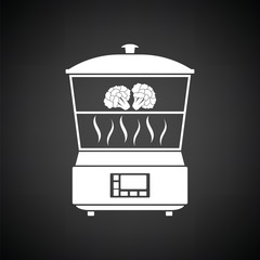Kitchen steam cooker icon