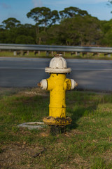 Fototapeta na wymiar Fire hydrant beside a road. 