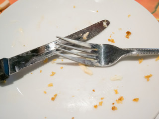 Empty plate after eat