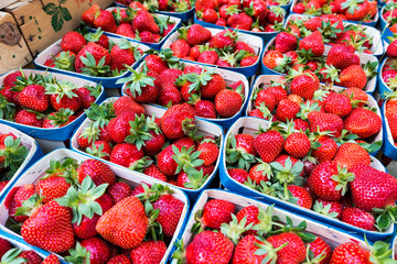 Strawberries for sale at a farmers market in Aix-en-Provence, France. 