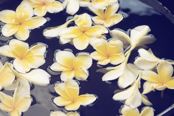 Obraz na płótnie Canvas Frangipani spa flowers background