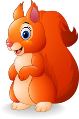 Cartoon adorable squirrel