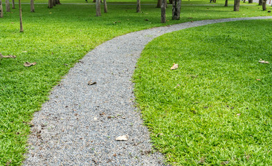Gray gravel pathway