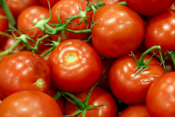 background with fresh red tomatoes in market