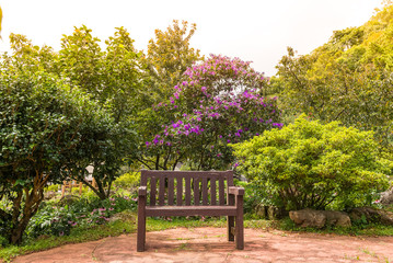 Beautiful wooden garden chair in the garden