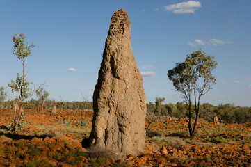Termite Mound - Australia