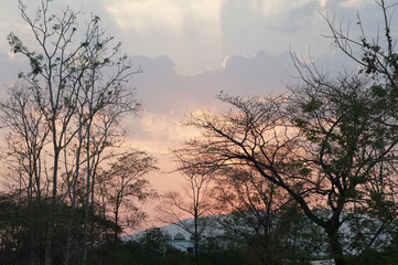 Naklejka premium Setting Sun Bay View