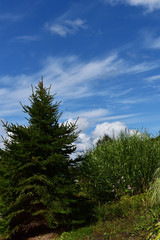 秋の青空と野原の風景