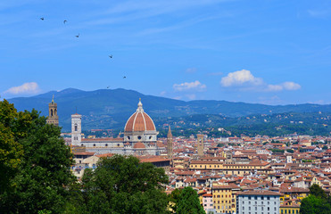 Fototapeta na wymiar Florence (Italy) - The capital of Renaissance's art and Tuscany region. The cityscape
