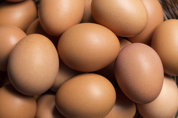eggs