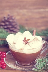 Fototapeta na wymiar Winter hot drink. Christmas hot cocoa with marshmallow and spices.Toned photo