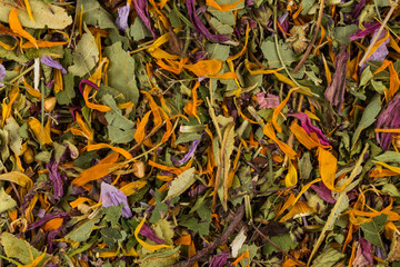 Dried herbal tea leaves
