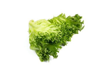 fresh lettuce texture