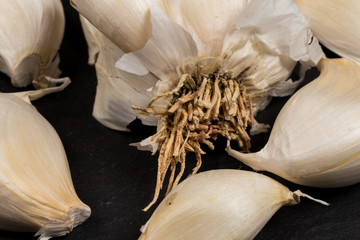 organic whole garlic