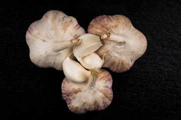 Garlic bulb on dark background