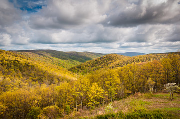 Fototapeta na wymiar Early spring view of the Blue Ridge Mountains in Shenandoah Nati