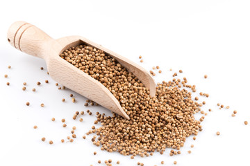 Coriander seeds in wooden scoop