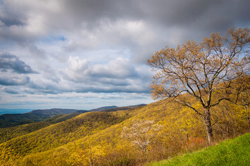 Early spring view of the Blue Ridge Mountains in Shenandoah Nati