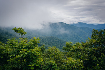 Foggy view of the Blue Ridge Mountains from Skyline Drive in She