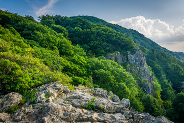 Fototapeta na wymiar Little Stony Man Cliffs along the Appalachian Trail, in Shenando