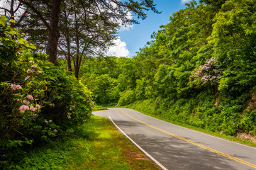 Skyline Drive, in Shenandoah National Park, Virginia.