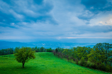 Fototapeta na wymiar Spring storm over the Shenandoah Valley and tree on green hillsi