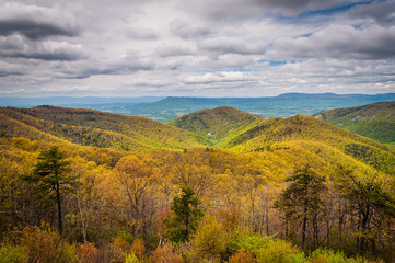Fototapeta na wymiar Spring view of the Blue Ridge Mountains and Shenandoah Valley, f