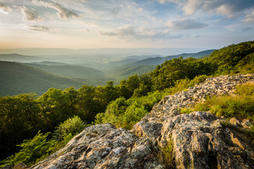 Fototapeta na wymiar Summer evening view of the Shenandoah Valley from Franklin Cliff
