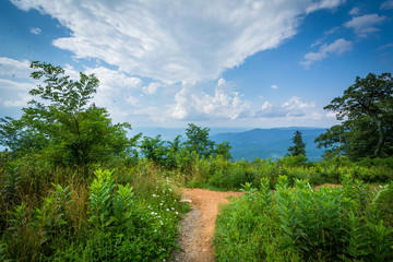 Trail at Jewell Hollow Overlook, on Skyline Drive, in Shenandoah