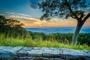 Tree and sunset over the Shenandoah Valley, seen from Skyline Dr © jonbilous
