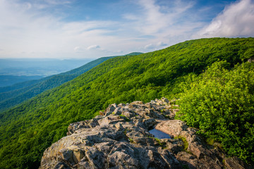 Fototapeta na wymiar View from Crescent Rock, in Shenandoah National Park, Virginia.