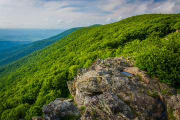 View from Crescent Rock, in Shenandoah National Park, Virginia.