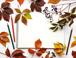 Autumn composition with sketchbook and pencils, decorated with red leaves and berries. Flat lay, top view