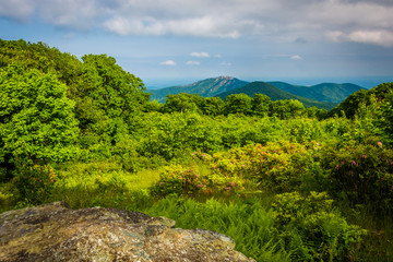 Obraz premium View of Old Rag from Thoroughfare Overlook, on Skyline Drive in