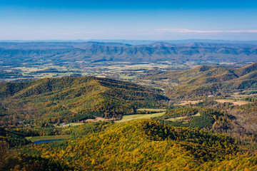 View of fall color in the Shenandoah Valley, from Skyline Drive