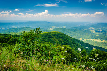 View of the Blue Ridge Mountains and Shenandoah Valley, from Sky