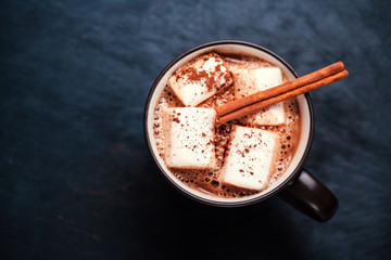 Mug of hot chocolate with cinnamon stick over dark background. H